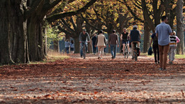 People enjoy walking through a public park.