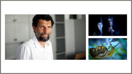 Osman Kavala (left) and Lore Lixenberg and Nadine Benjamin (top right), two snails (bottom right)