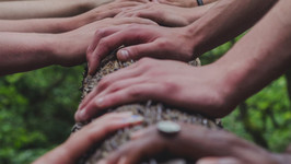 A close up of people placing their hands on a branch.