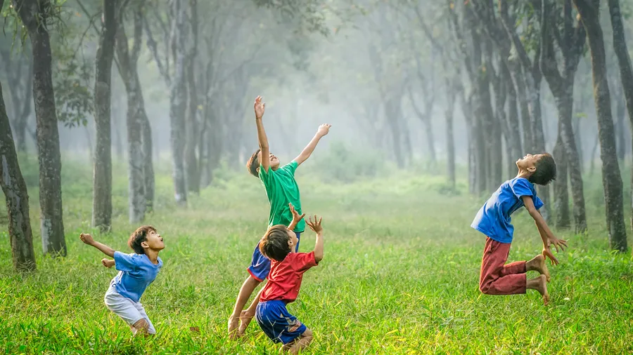 Children playing in the woods