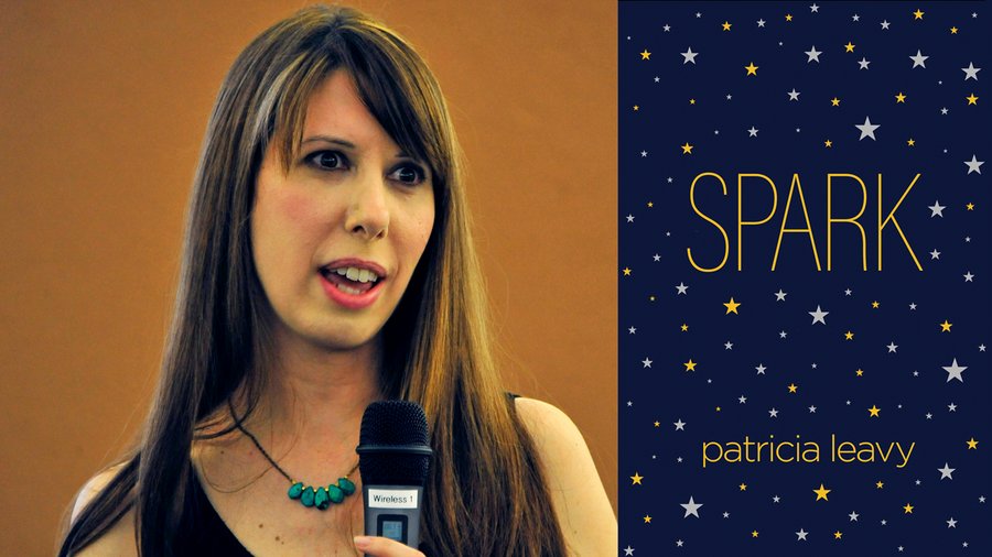 Patricia Leavy speaking at Salzburg Global Seminar in 2015 (Insert: The front cover of Spark, Leavy's latest publication) 