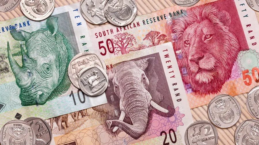 This image features a close-up of South African Rand currency, including both banknotes and coins. The banknotes showcase detailed illustrations of African wildlife such as a rhinoceros, an elephant, and a lion.