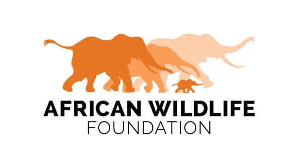 African Wildlife Foundation