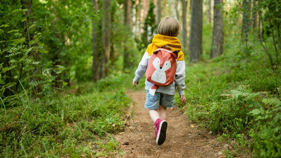 Child exploring nature with a backpack and walking through the forest.