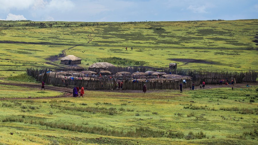 On a bright, sunny day, several small huts with thatched roofs form a small settlement on grassy, rolling hills. A circular palisade fence surrounds the collection of dwellings. The expansive view shows other people moving around outside the village on paths through the open fields.