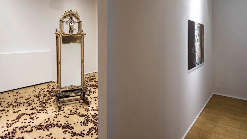 The Coming to See exhibition is taking place at the Salzburger Kunstverein until November 26 (Picture: Annelies Senfter)