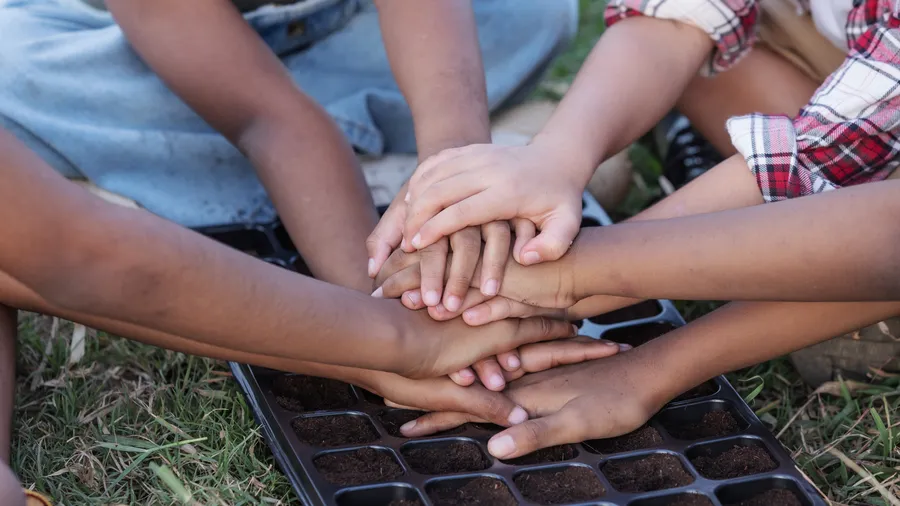 A collection of hands are clasped together on top of a black tray with soil in it. The children are in a garden area with grass. The hands on top of the tray are reaching down in support. The children are wearing casual clothing such as denim and plaid. The photo is in bright sunlight.