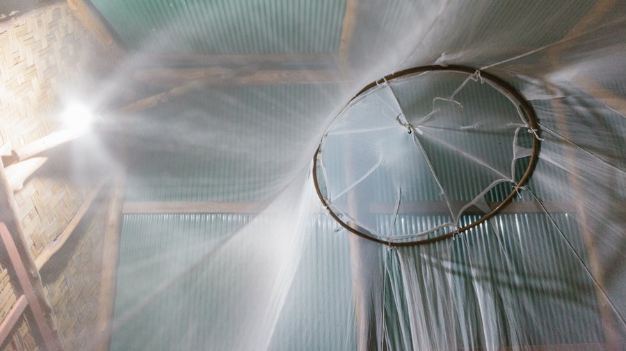 Mosquito net - Photo by Christine Wehrmeier on Unsplash