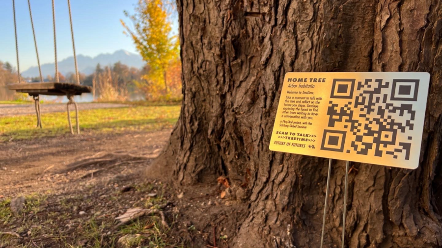 A brass plaque with a QR code next to a tree.