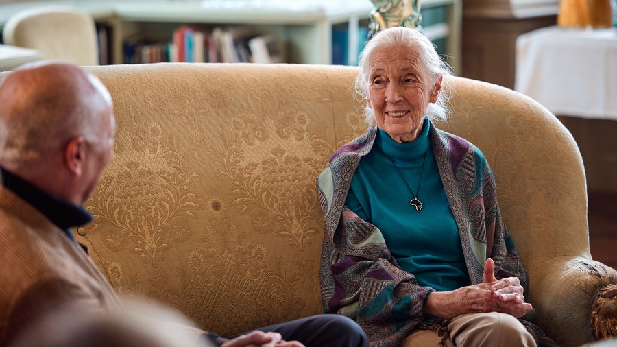 Jane Goodall, an older woman with white hair wearing a blue shirt, colorful scarf, and Africa necklace, sits smiling and looking to the left.