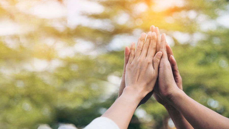 Group of diverse hands touching each other in the air in front of a nature background.