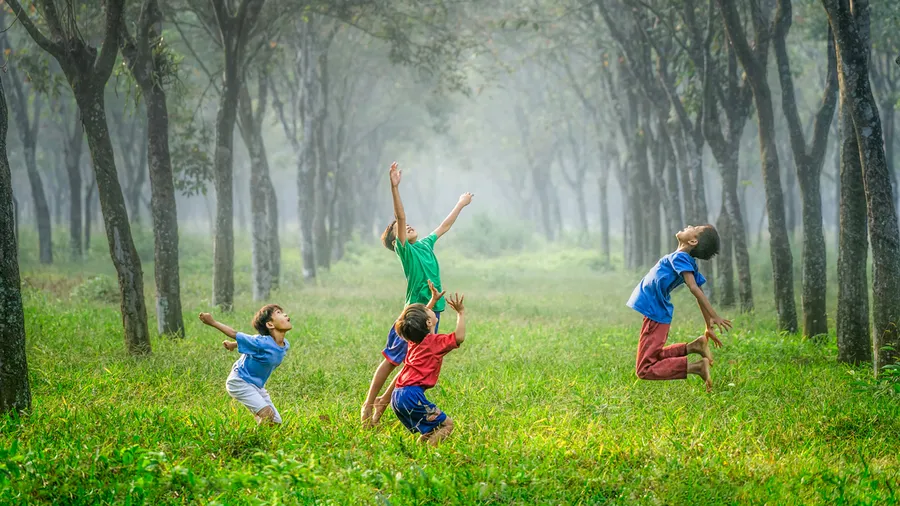 Photo from Robert Collins on Unsplash