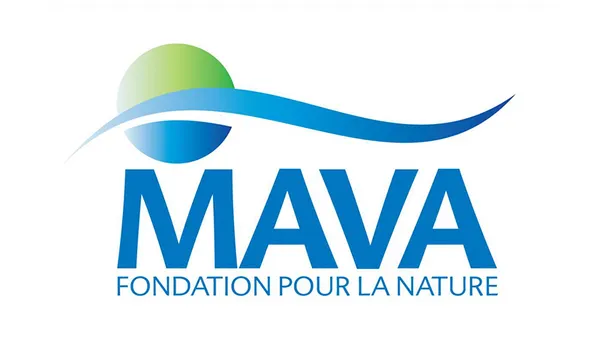 MAVA Foundation